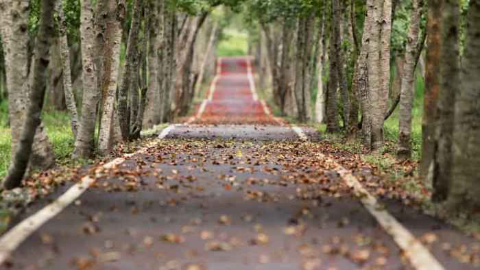 destinazioni-ponte-primo-novembre