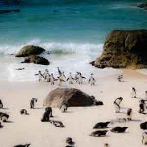 Cape Town bay