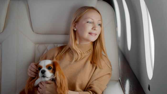 Pet Friendly private jet