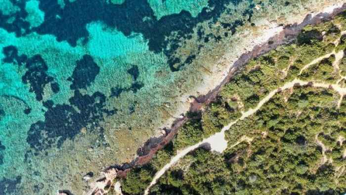 noleggio jet privato Parigi Olbia