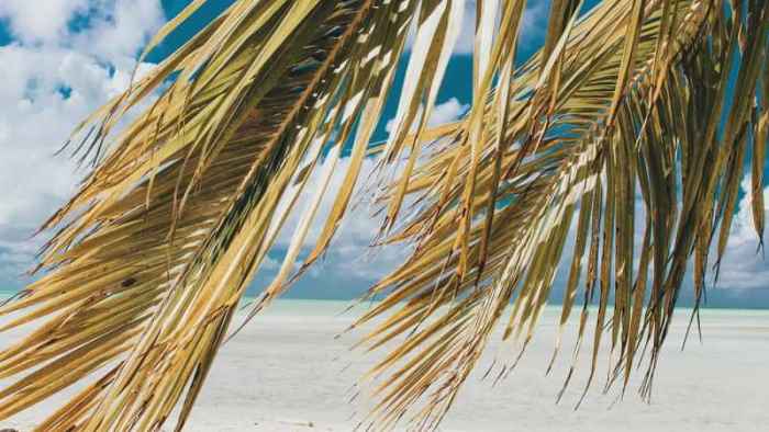 private-jet-st-vincent-mustique-island