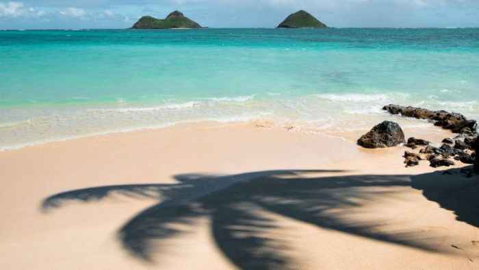 spiaggia delle Isole Cayman