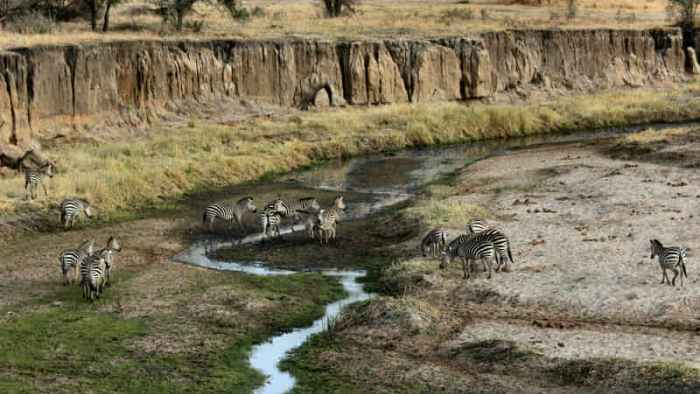 Vola da Milano alla Tanzania in grande stile raggiungi questa magica destinazione a bordo di un jet privato