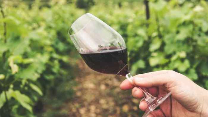 vintay-2023-vino-rosso