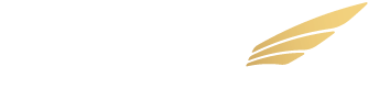 احجز طائرتك الخاصة عبر الإنترنت الیوم | Fast Private Jet