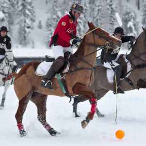 snow polo st moritz