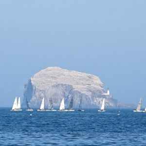 Bass Rock regatta