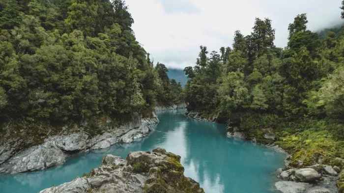 kokatahi-west-coast-new-zealand