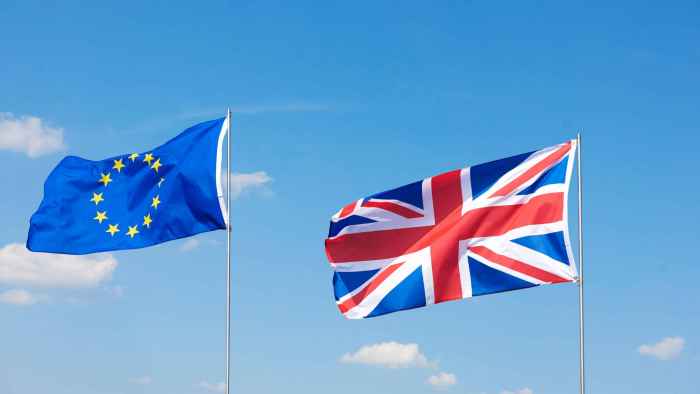 shot-brexit-flags-waving-outside