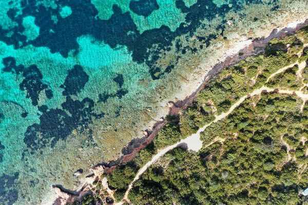 noleggio jet privato Parigi Olbia