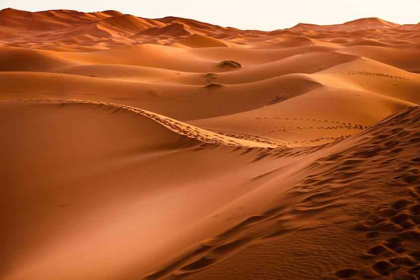 morocco-desert
