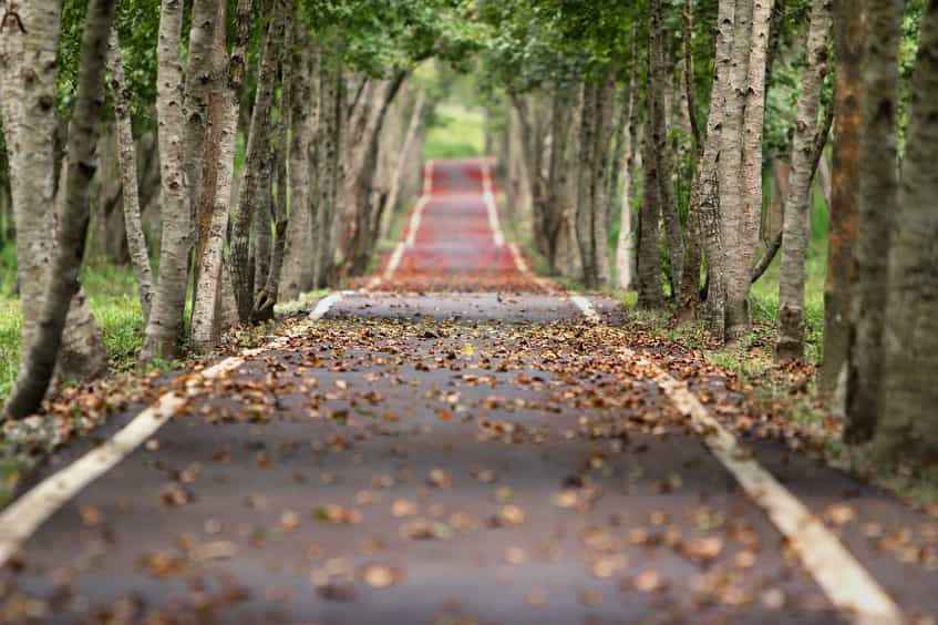 destinazioni-ponte-primo-novembre