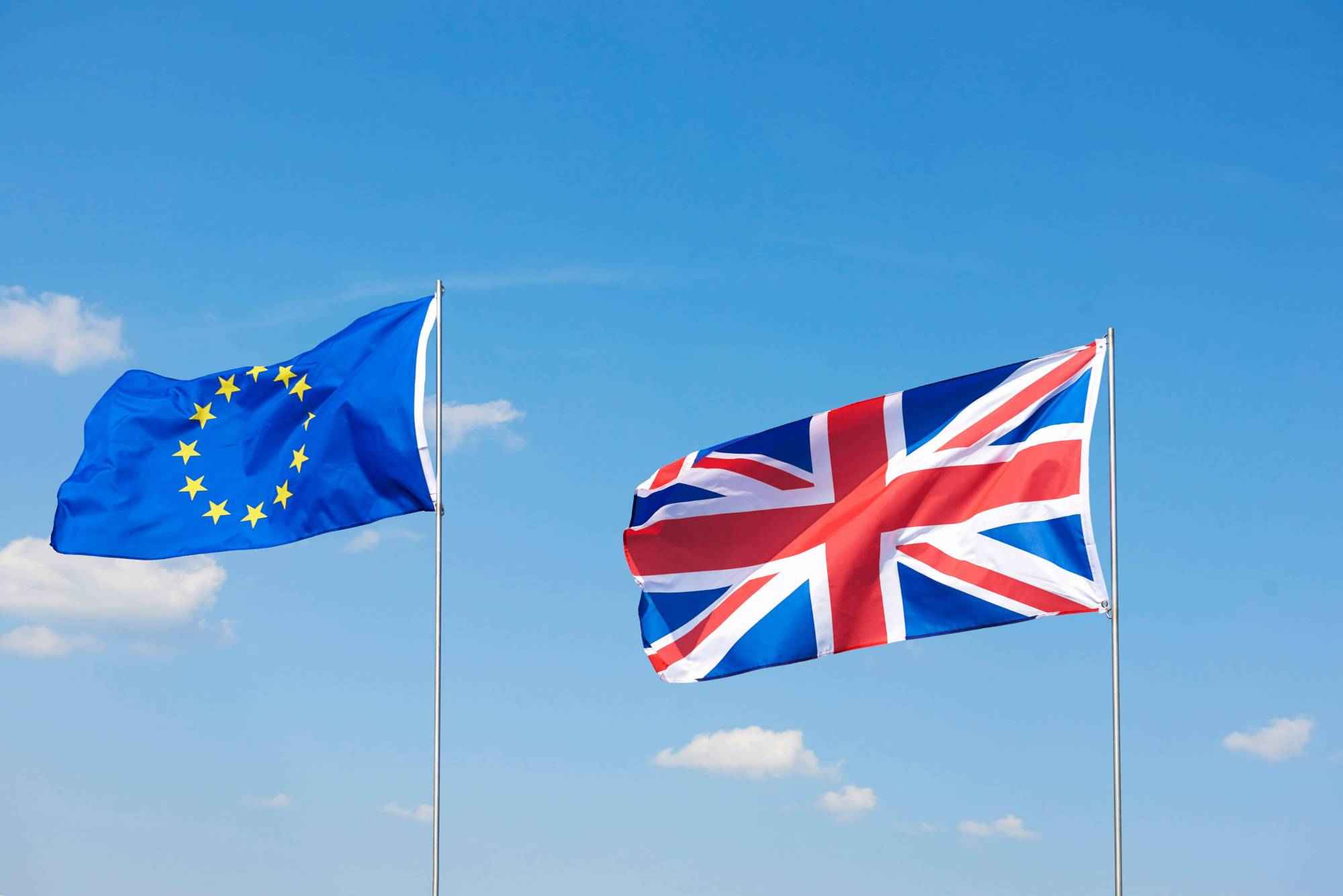 shot-brexit-flags-waving-outside