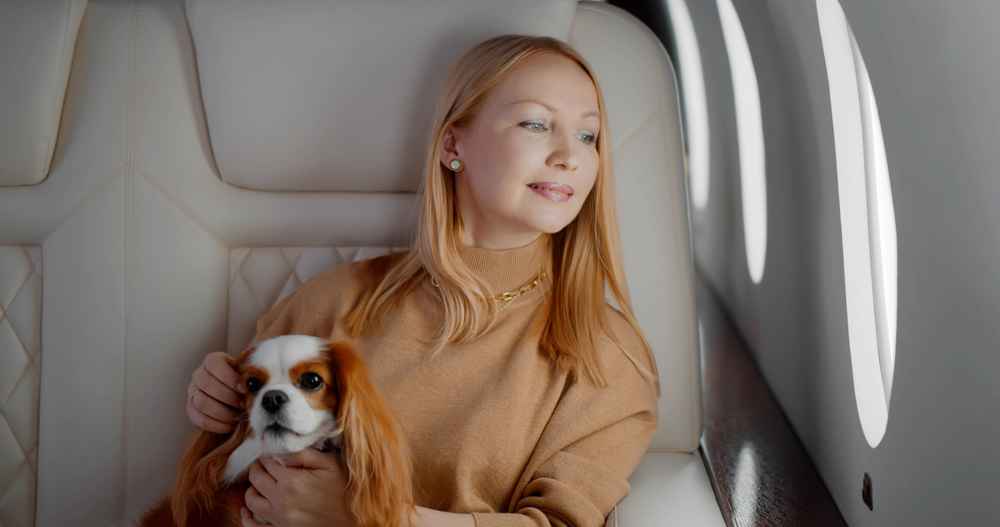 Pet Friendly private jet