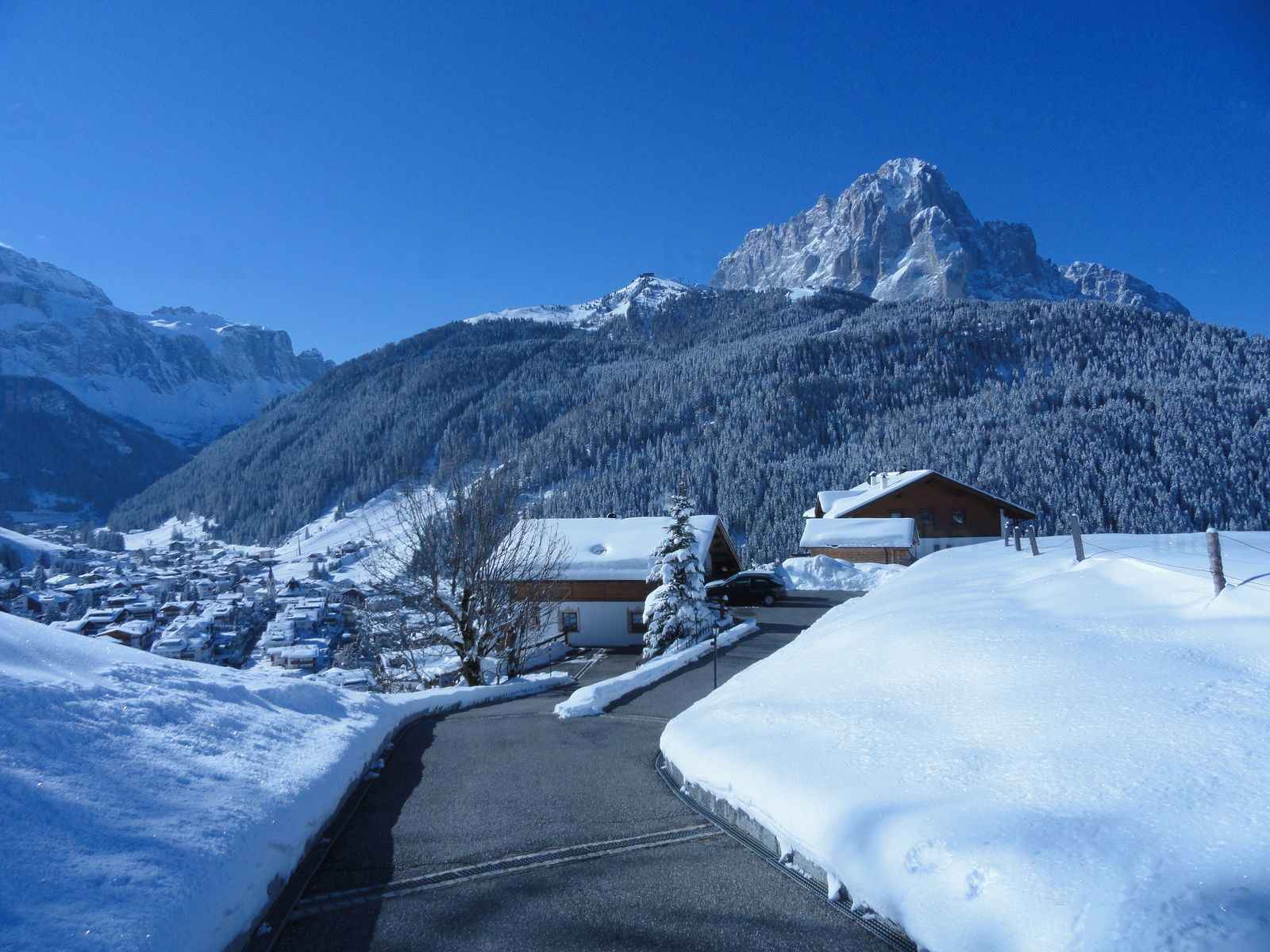 Bolzano landscape-nologo