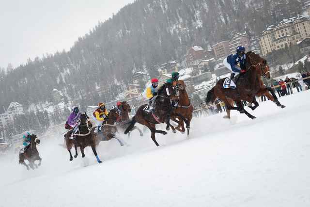 St. Moritz horse ice racing