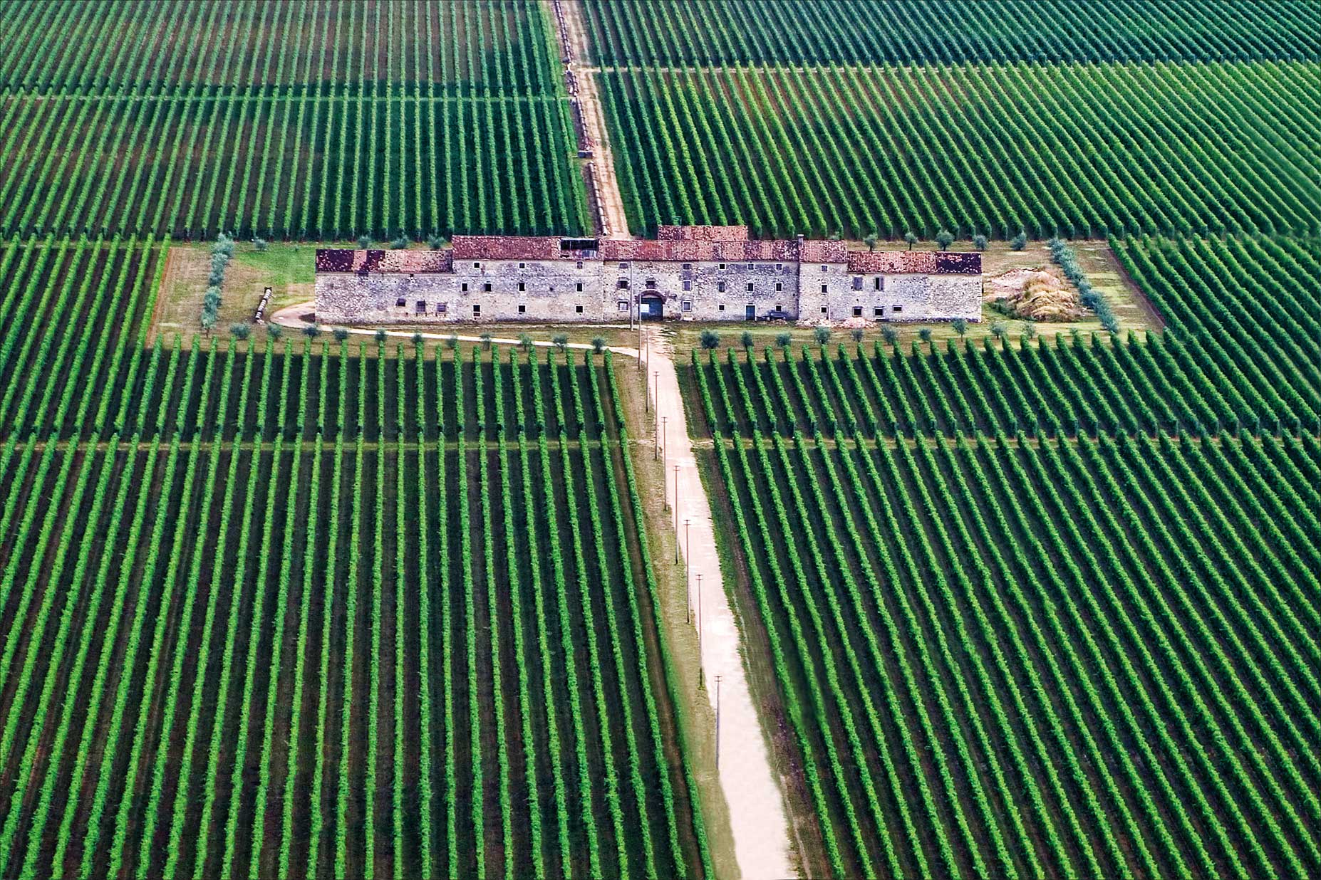 Valpolicella Vigneti