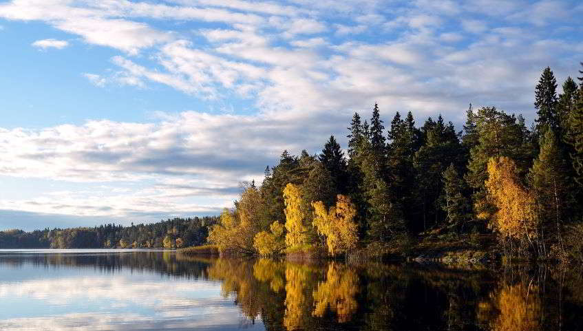 Jet privato per Stoccolma: costi del volo.