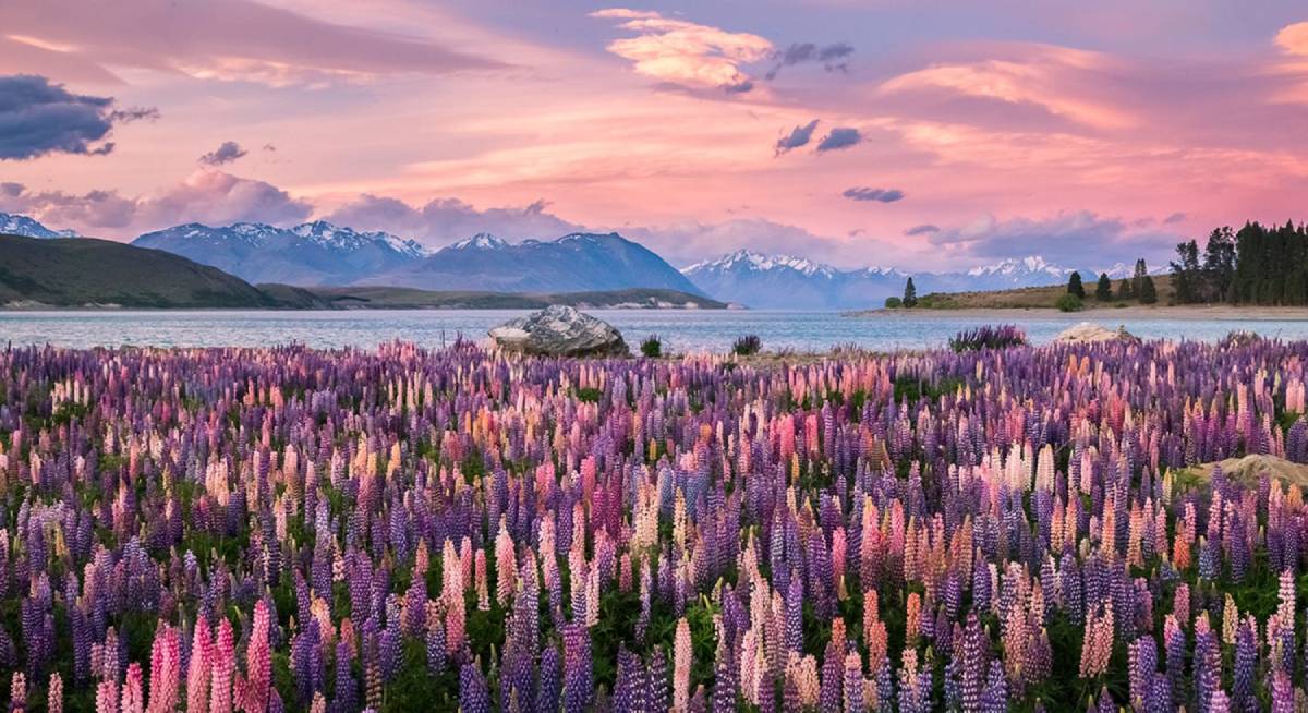 South Island, New Zealand