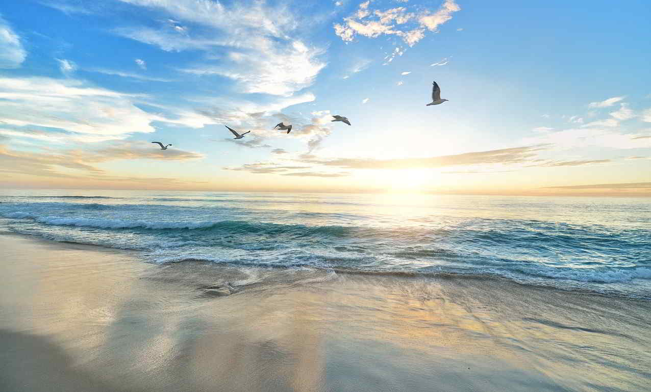 Isole Samoa, Oceania