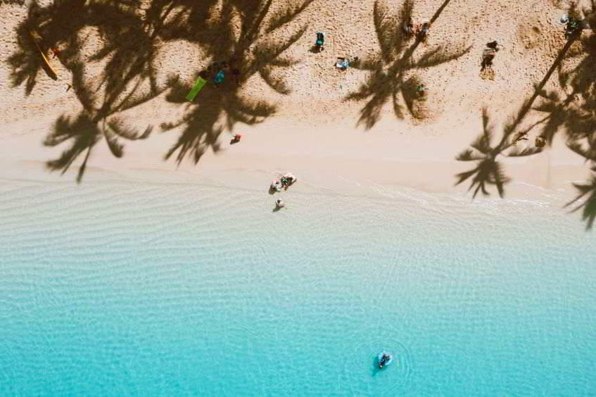 spiaggia e palme