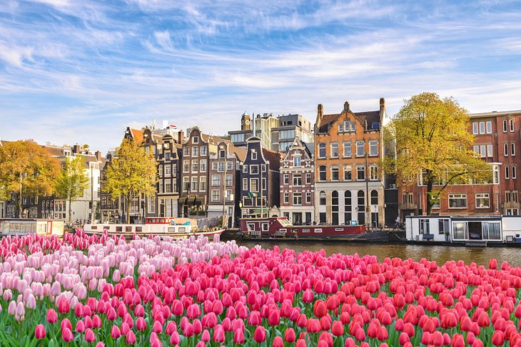 Amsterdam, Netherlands