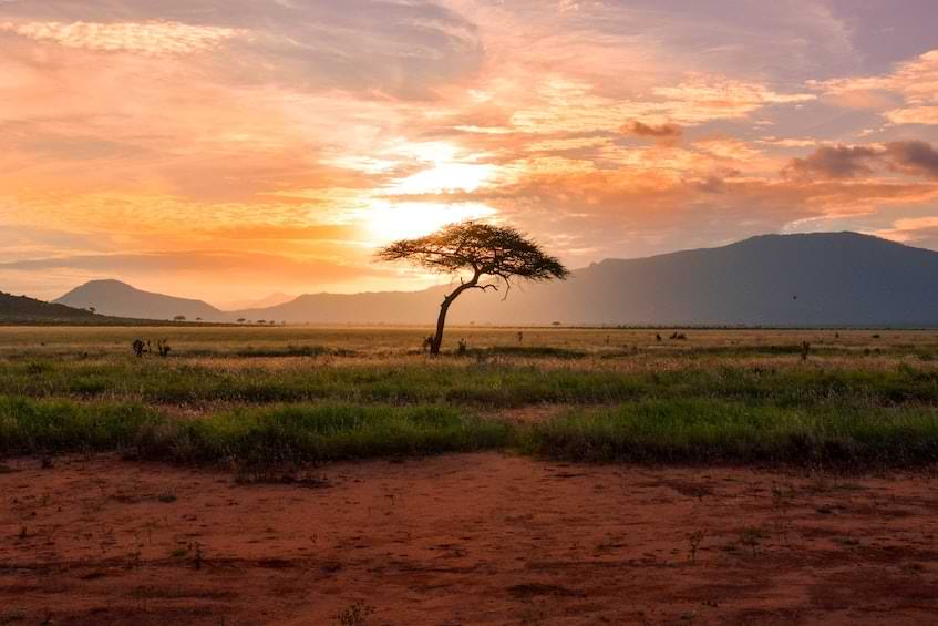 Tsavo National Park, Kenya | Fast Private Jet