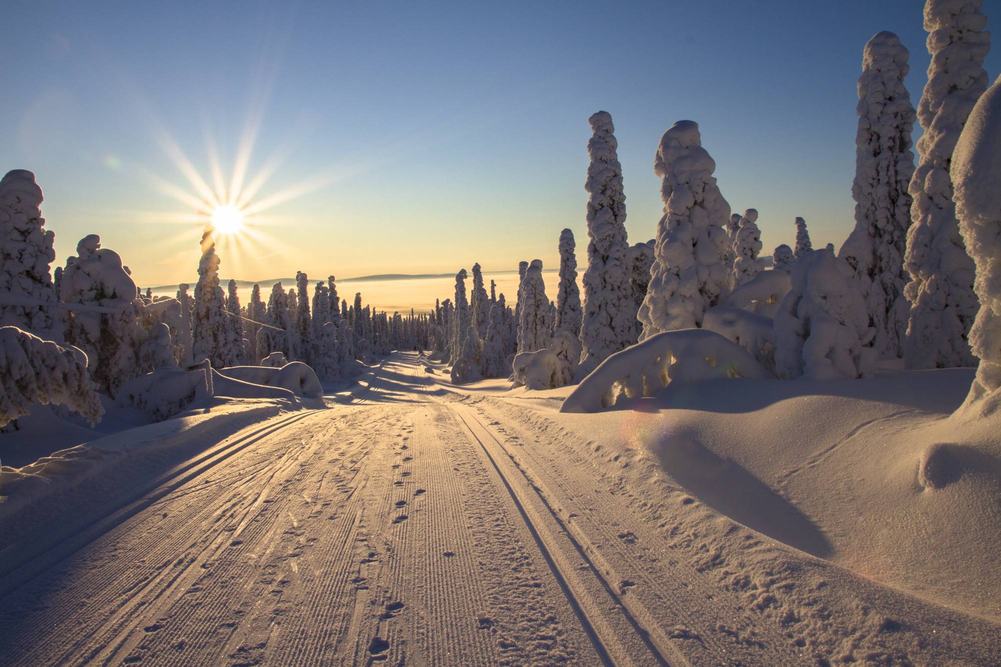 winter-snow-finland