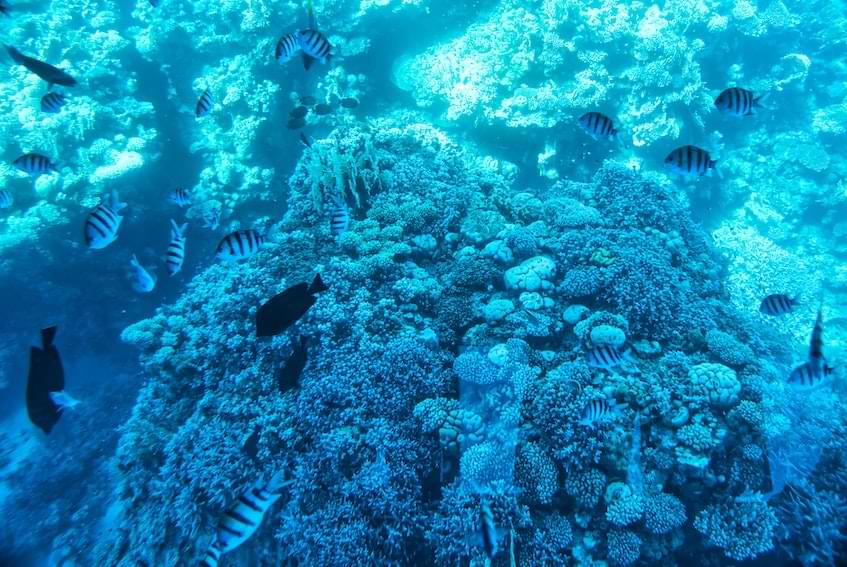 The Barrer Reef, Sharm el-Sheikh | Fast Private Jet