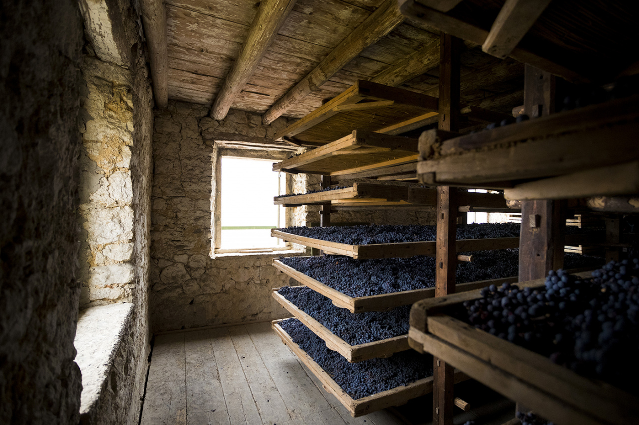 vino-uva-appasimento-masi