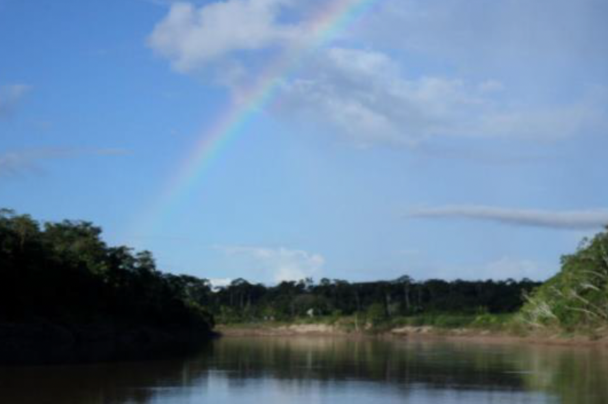 The-Envira-Amazonia-Project