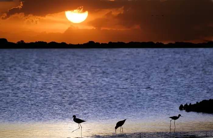Immagine di un'isola caraibica in Venezuela | Fast Private Jet