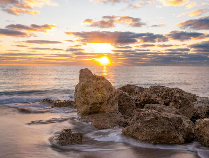 Alba a Palm Beach in Florida (USA) | Fast Private Jet