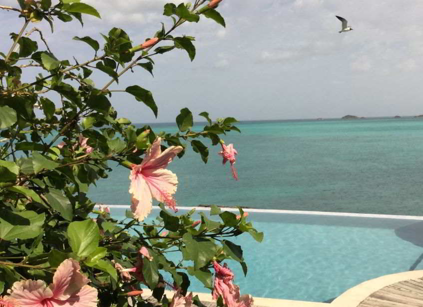 Voli privati per Antigua e Barbuda: vista del mare