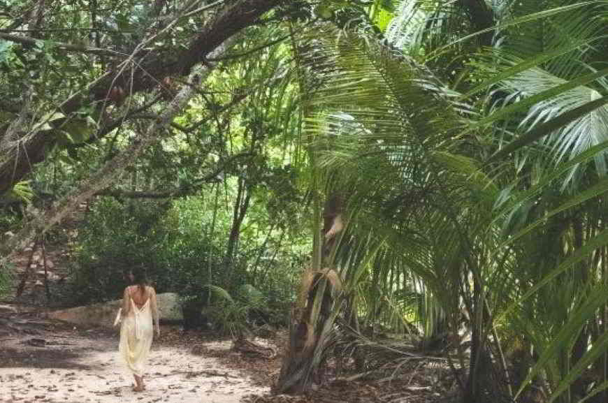 dal jet privato alle foreste tropicali di Tonga
