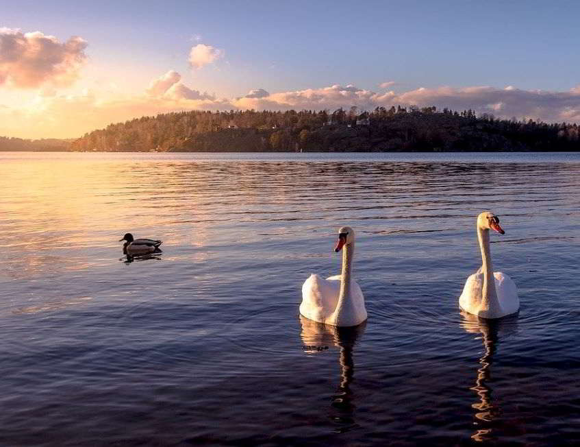 Jet privato Svezia: bellezze della città di Stoccolma.