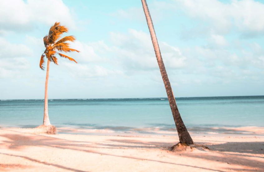 dal jet privato alle spiagge di Dominica