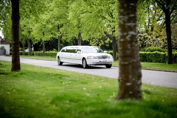 trasferimento in limousine da Milano Linate in jet privato
