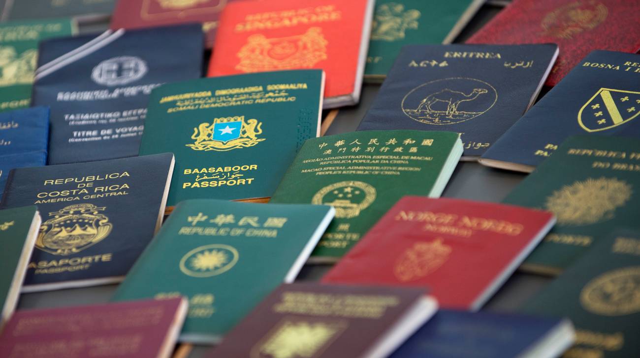 Passaporti del mondo