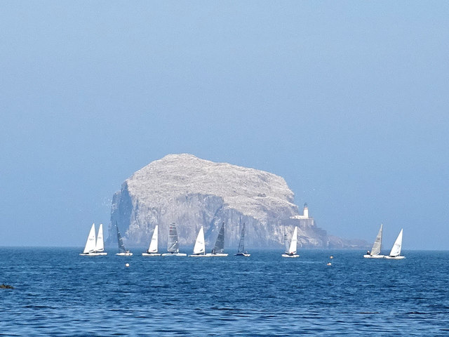 Bass Rock regatta